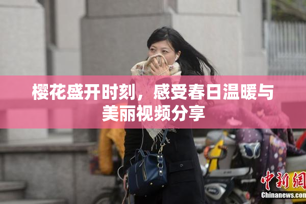 樱花盛开时刻，感受春日温暖与美丽视频分享