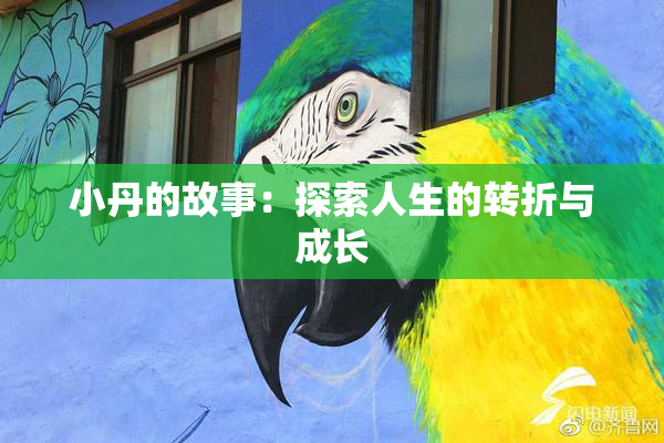 小丹的故事：探索人生的转折与成长
