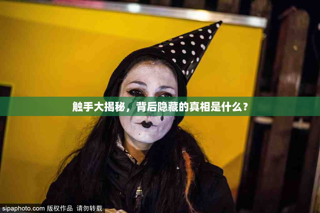 触手大揭秘，背后隐藏的真相是什么？