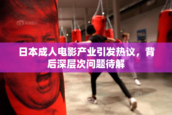 日本成人电影产业引发热议，背后深层次问题待解