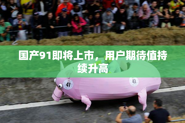 国产91即将上市，用户期待值持续升高