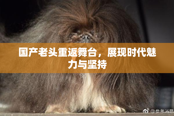 国产老头重返舞台，展现时代魅力与坚持