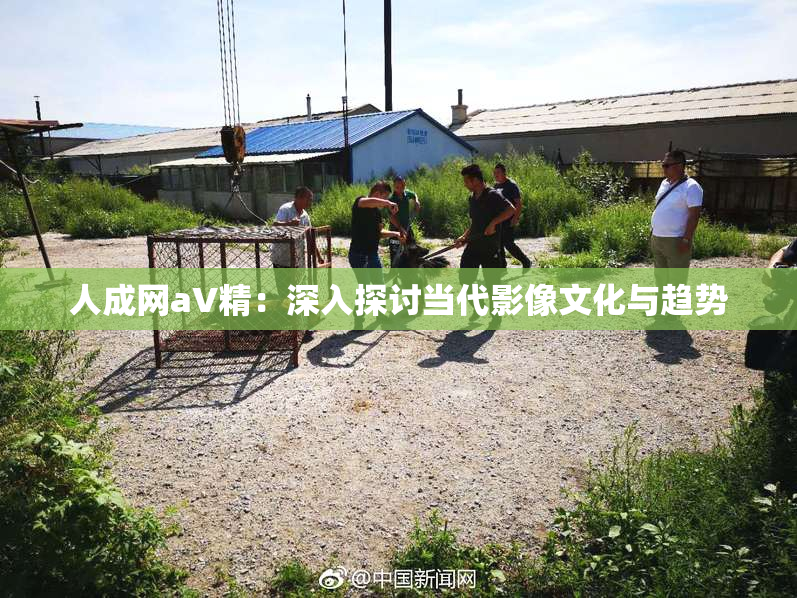 人成网aV精：深入探讨当代影像文化与趋势