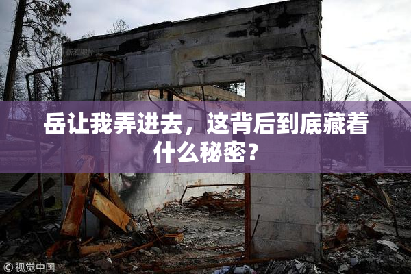 岳让我弄进去，这背后到底藏着什么秘密？