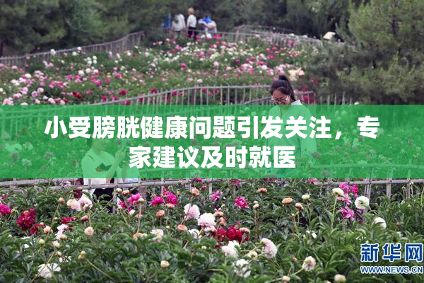 小受膀胱健康问题引发关注，专家建议及时就医