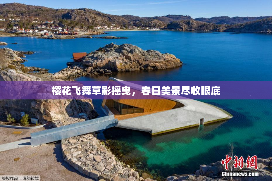 樱花飞舞草影摇曳，春日美景尽收眼底