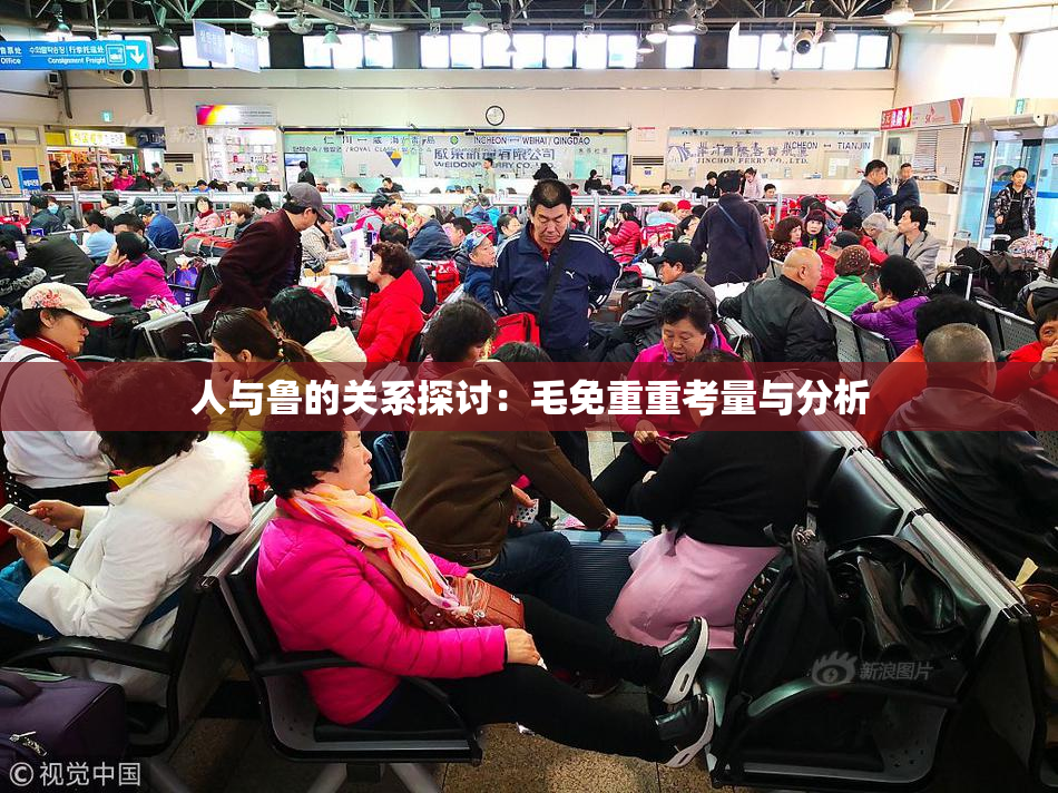 人与鲁的关系探讨：毛免重重考量与分析