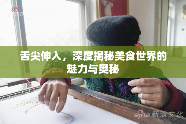 舌尖伸入，深度揭秘美食世界的魅力与奥秘