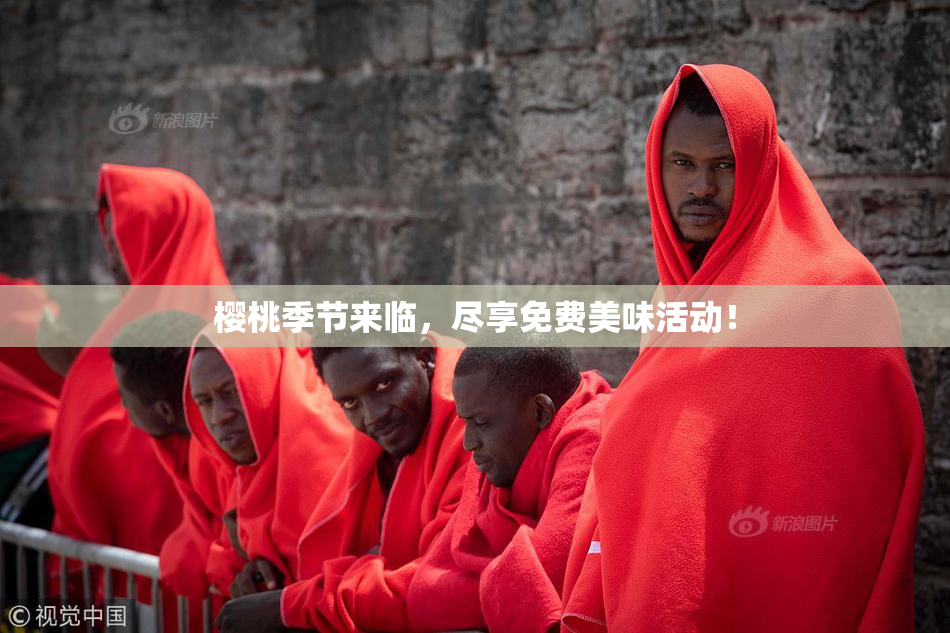 樱桃季节来临，尽享免费美味活动！