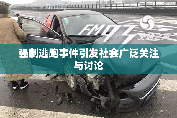 强制逃跑事件引发社会广泛关注与讨论