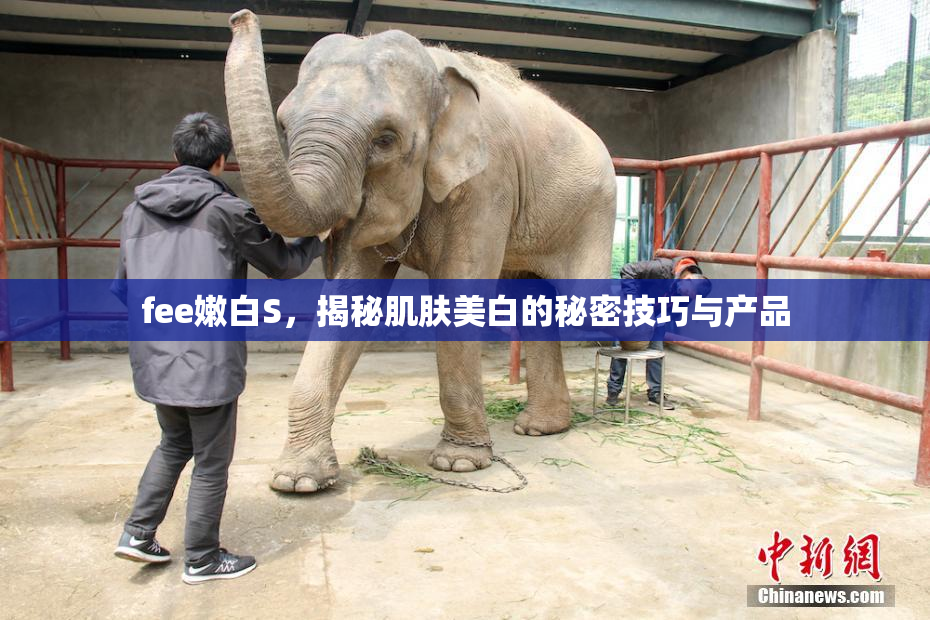 fee嫩白S，揭秘肌肤美白的秘密技巧与产品