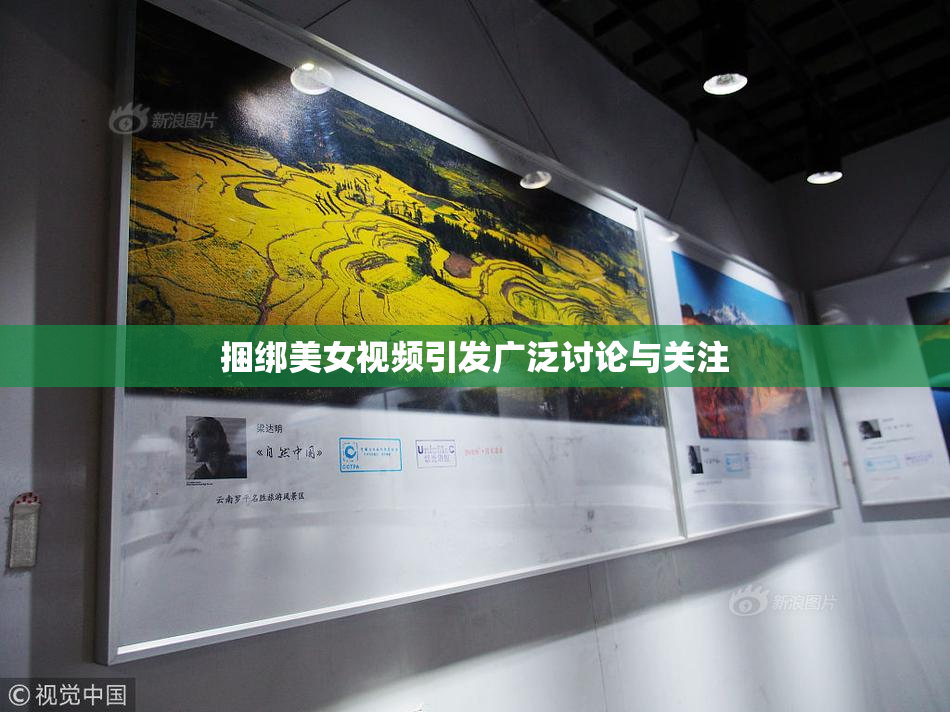 捆绑美女视频引发广泛讨论与关注