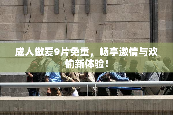 成人做爰9片免重，畅享激情与欢愉新体验！