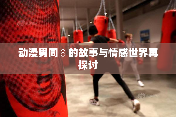 动漫男同♂的故事与情感世界再探讨