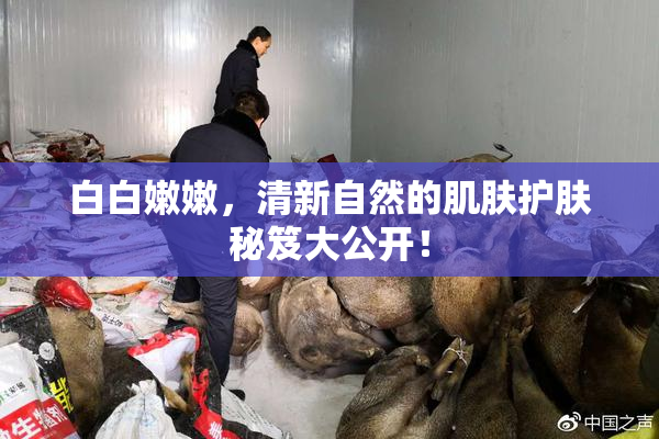 白白嫩嫩，清新自然的肌肤护肤秘笈大公开！