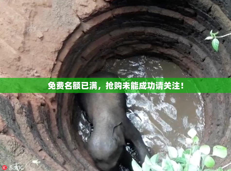 免费名额已满，抢购未能成功请关注！