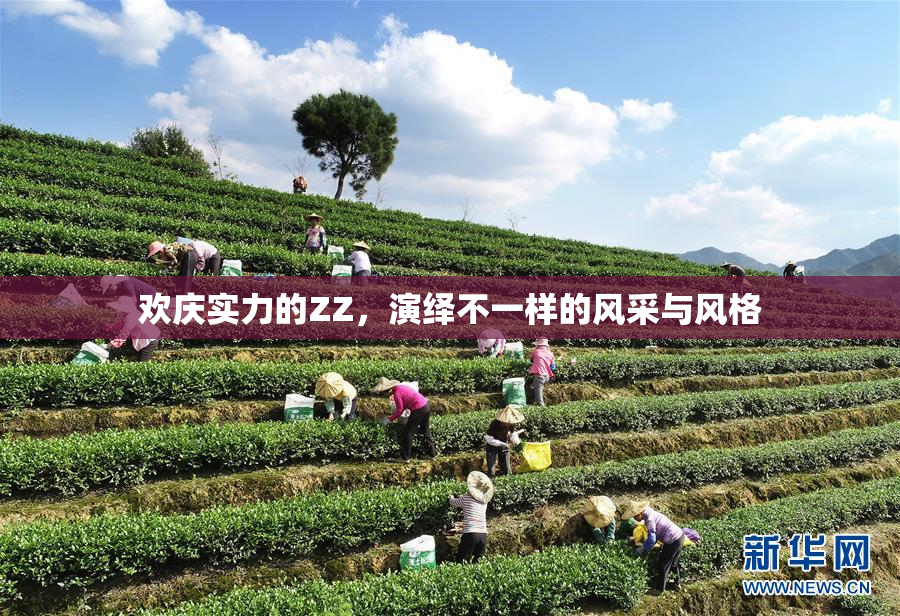 欢庆实力的ZZ，演绎不一样的风采与风格