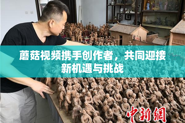 蘑菇视频携手创作者，共同迎接新机遇与挑战