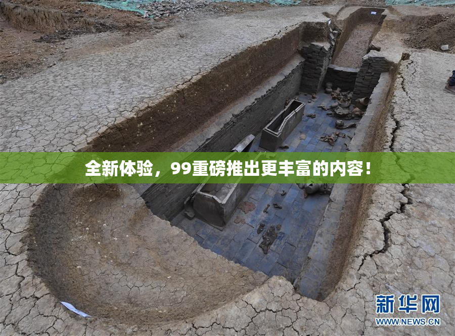 全新体验，99重磅推出更丰富的内容！