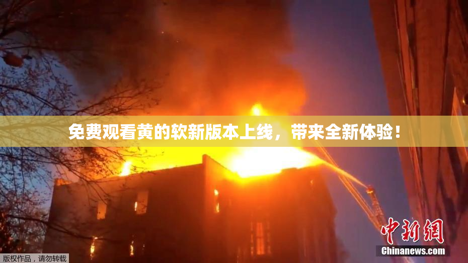 免费观看黄的软新版本上线，带来全新体验！