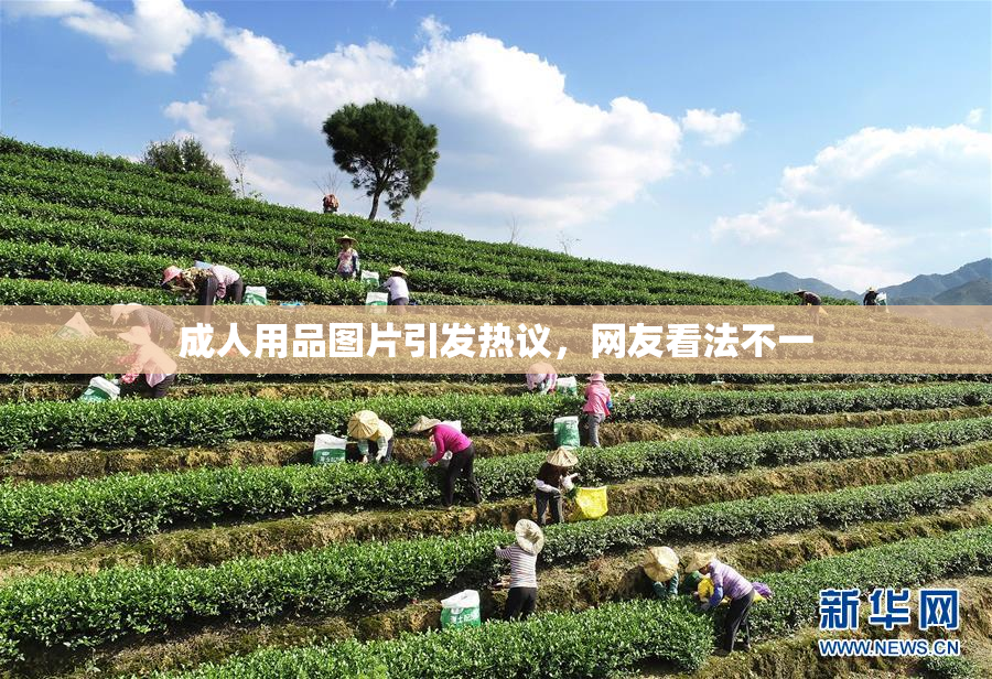 成人用品图片引发热议，网友看法不一