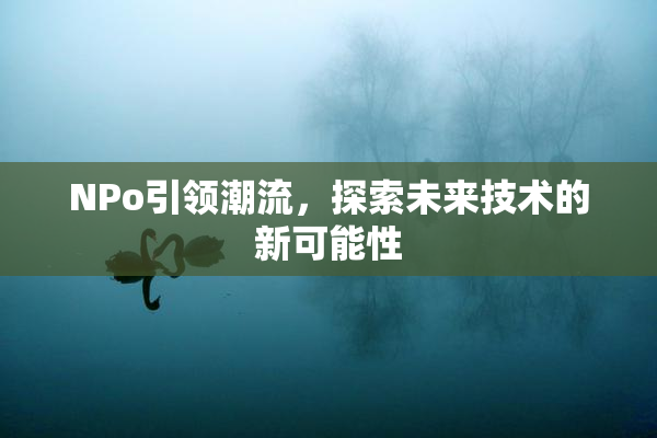 ΝPo引领潮流，探索未来技术的新可能性