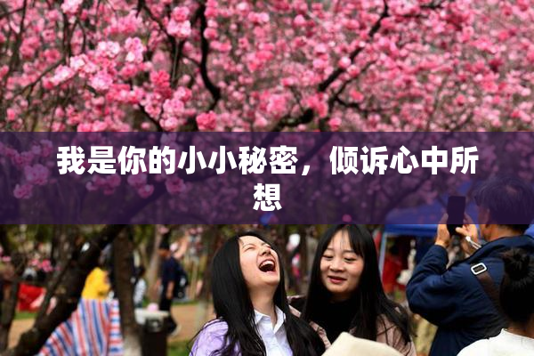 我是你的小小秘密，倾诉心中所想