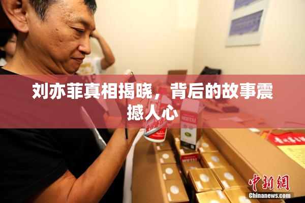 刘亦菲真相揭晓，背后的故事震撼人心
