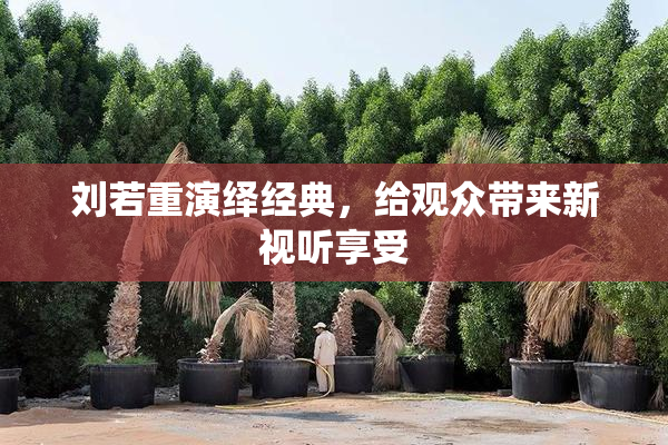 刘若重演绎经典，给观众带来新视听享受