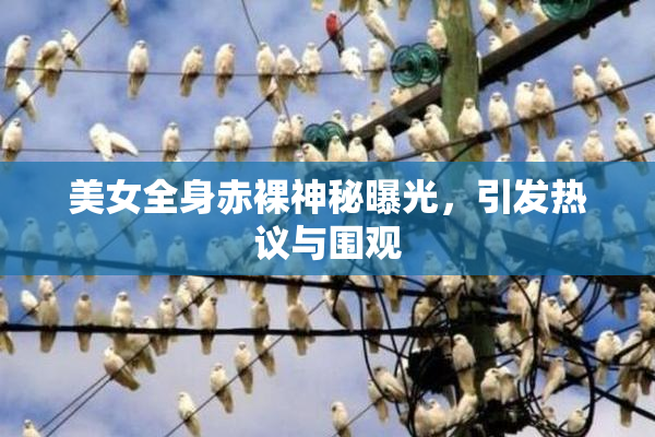 美女全身赤裸神秘曝光，引发热议与围观
