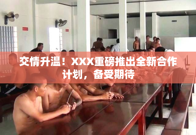 交情升温！XXX重磅推出全新合作计划，备受期待