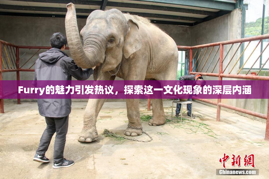 Furry的魅力引发热议，探索这一文化现象的深层内涵
