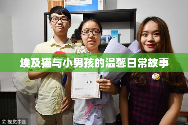 埃及猫与小男孩的温馨日常故事