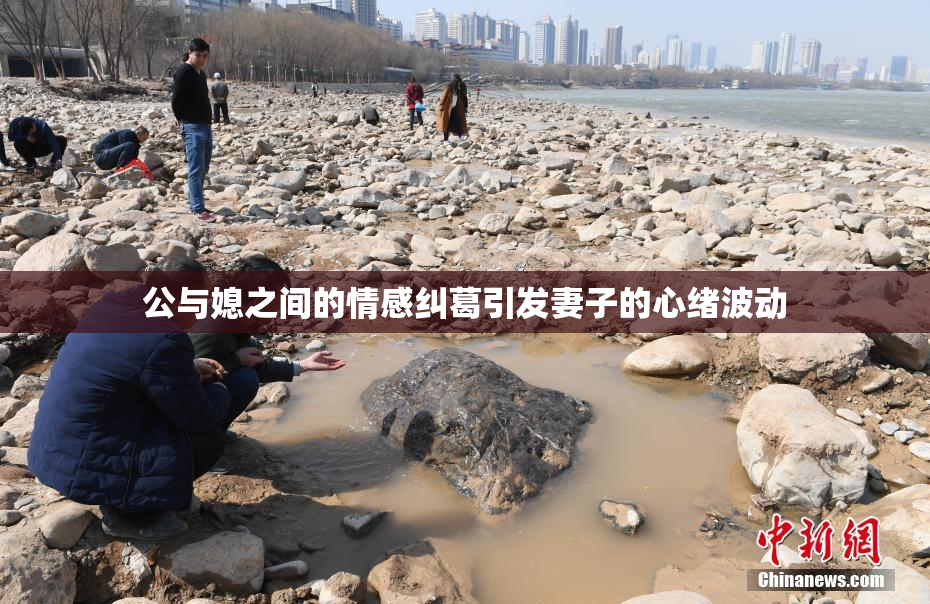 公与媳之间的情感纠葛引发妻子的心绪波动