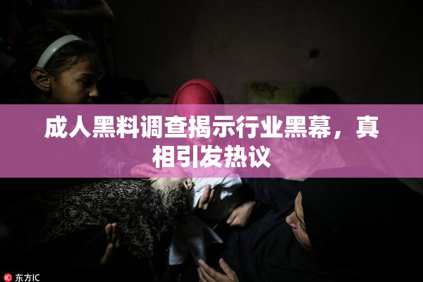 成人黑料调查揭示行业黑幕，真相引发热议
