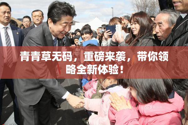 青青草无码，重磅来袭，带你领略全新体验！