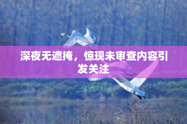深夜无遮掩，惊现未审查内容引发关注