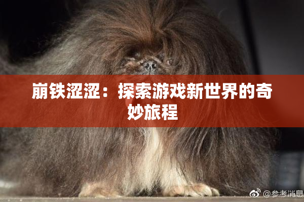 崩铁涩涩：探索游戏新世界的奇妙旅程