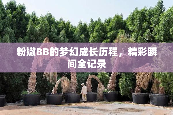 粉嫩BB的梦幻成长历程，精彩瞬间全记录