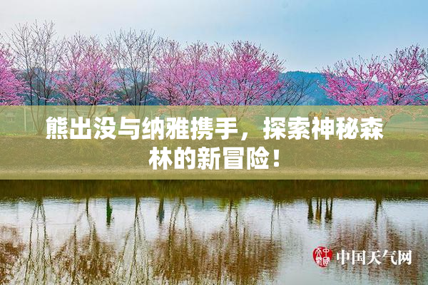 熊出没与纳雅携手，探索神秘森林的新冒险！
