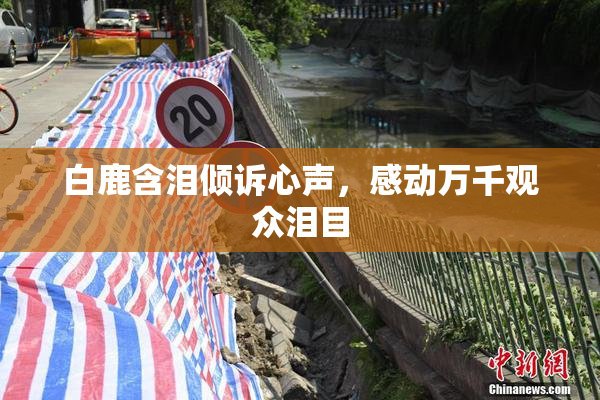 白鹿含泪倾诉心声，感动万千观众泪目