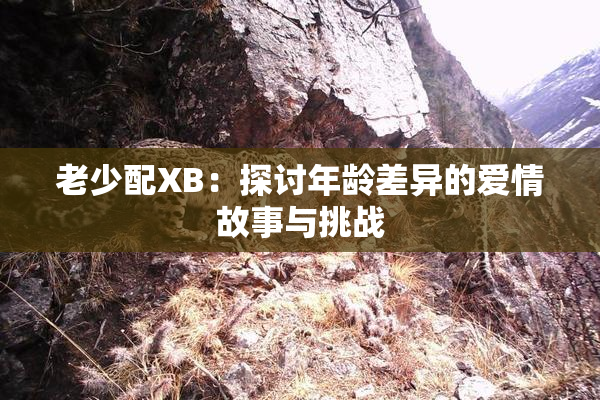 老少配XB：探讨年龄差异的爱情故事与挑战