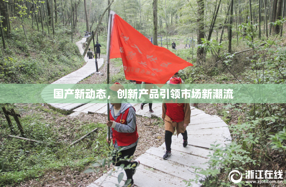 国产新动态，创新产品引领市场新潮流