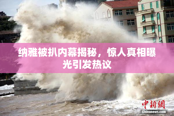 纳雅被扒内幕揭秘，惊人真相曝光引发热议