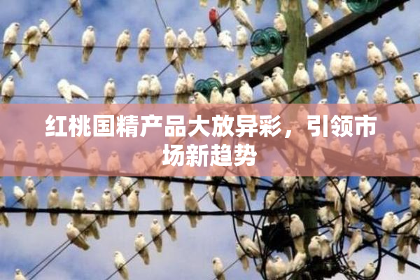 红桃国精产品大放异彩，引领市场新趋势