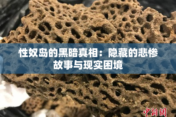 性奴岛的黑暗真相：隐藏的悲惨故事与现实困境