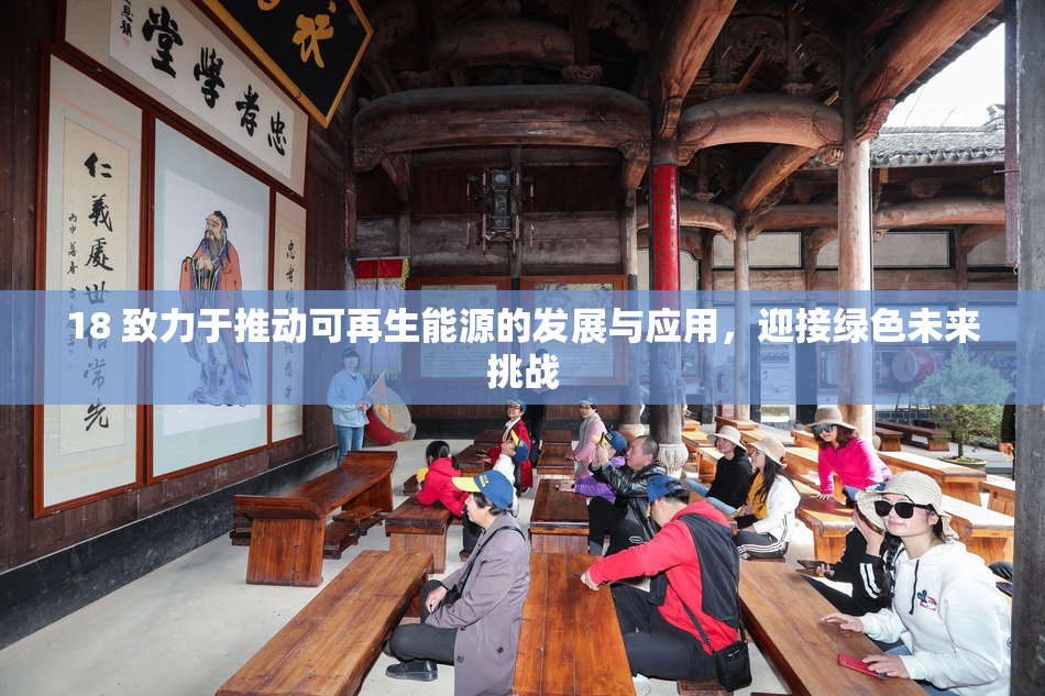 18 致力于推动可再生能源的发展与应用，迎接绿色未来挑战