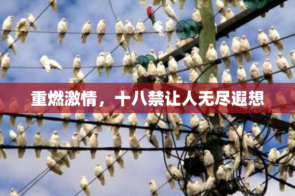 重燃激情，十八禁让人无尽遐想