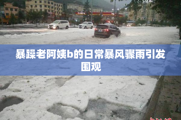 暴躁老阿姨b的日常暴风骤雨引发围观