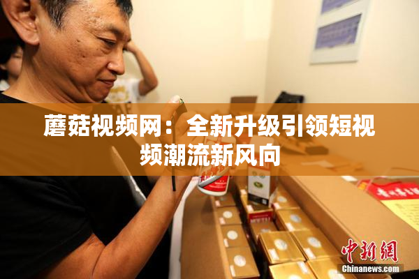 蘑菇视频网：全新升级引领短视频潮流新风向